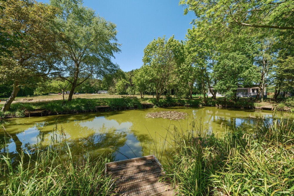 1297147 6 682c99ec53ad0 ARW