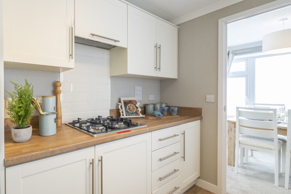 Omar Middelton 49 v2