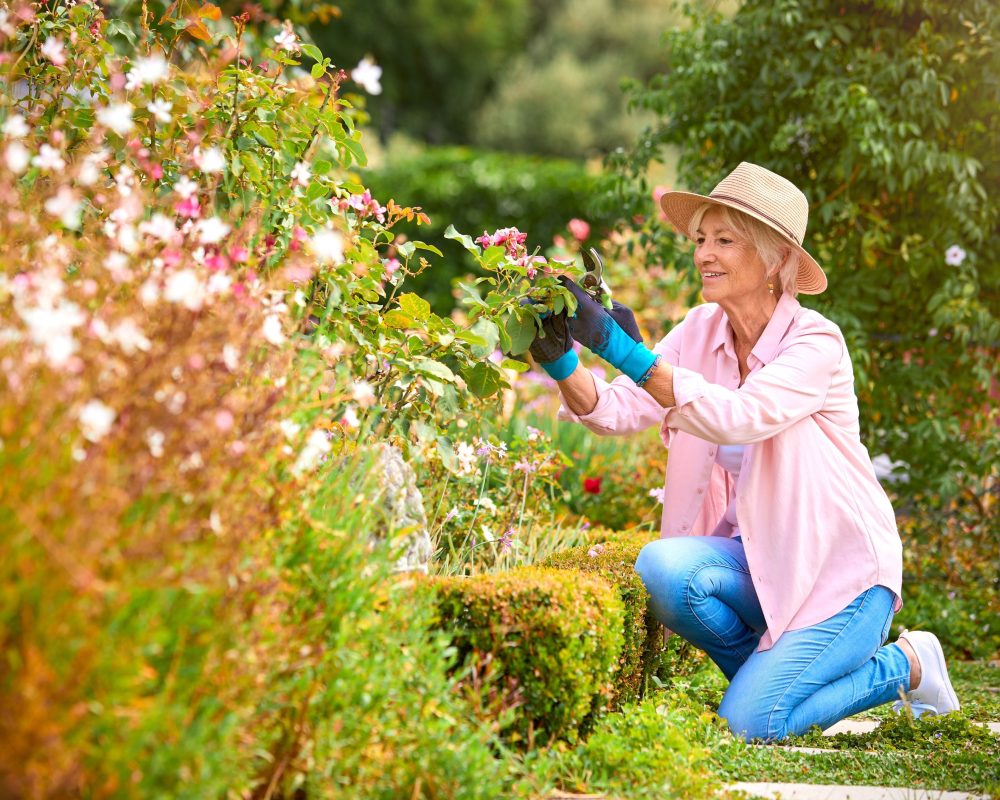 Pruning Flowers